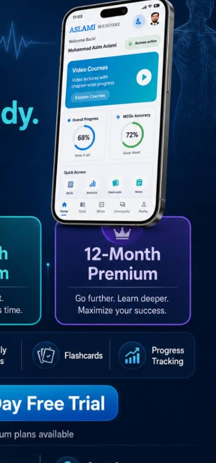 Premium Plans